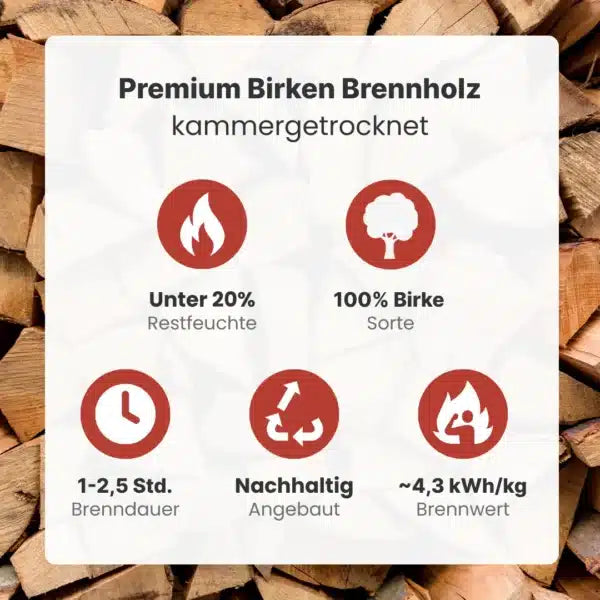 Brennholz Birke kammergetrocknet | 2 RM