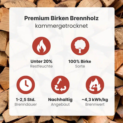 Kaminholz Birke kammergetrocknet | 1 RM